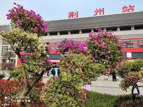 北京到荊州物流公司-北京至荊州物流專線-貨運公司