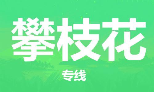 定西到攀枝花物流公司-定西到攀枝花物流專線-定西直達(dá)攀枝花貨運(yùn)